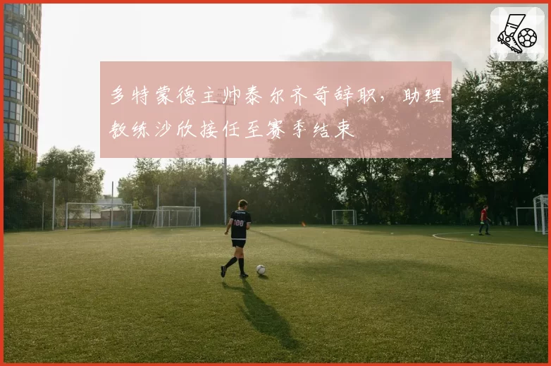 多特蒙德主帅泰尔齐奇辞职,助理教练沙欣接任至赛季结束