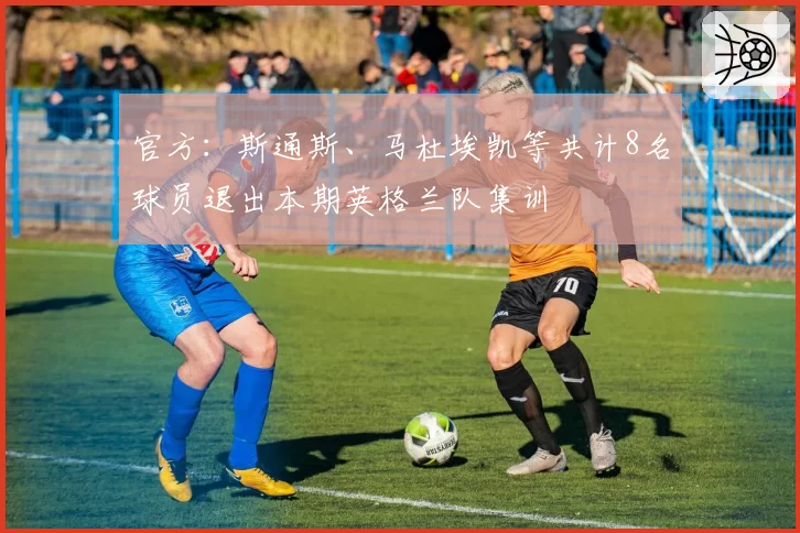 官方：斯通斯、马杜埃凯等共计8名球员退出本期英格兰队集训