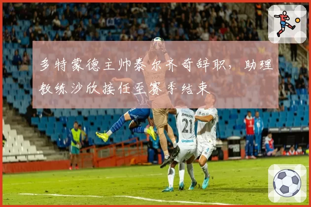 多特蒙德主帅泰尔齐奇辞职，助理教练沙欣接任至赛季结束