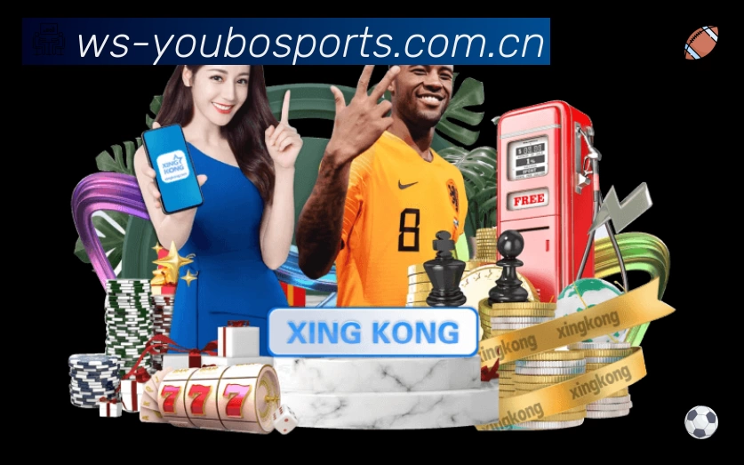 回放与集锦入口